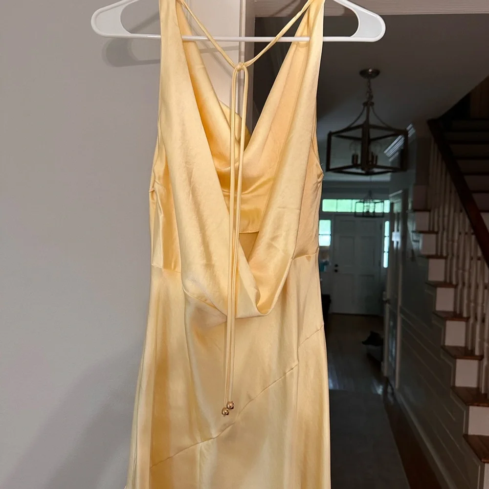 Elegant Backless Cowl Slip Dress in Pale Yellow - Picture 4 of 6